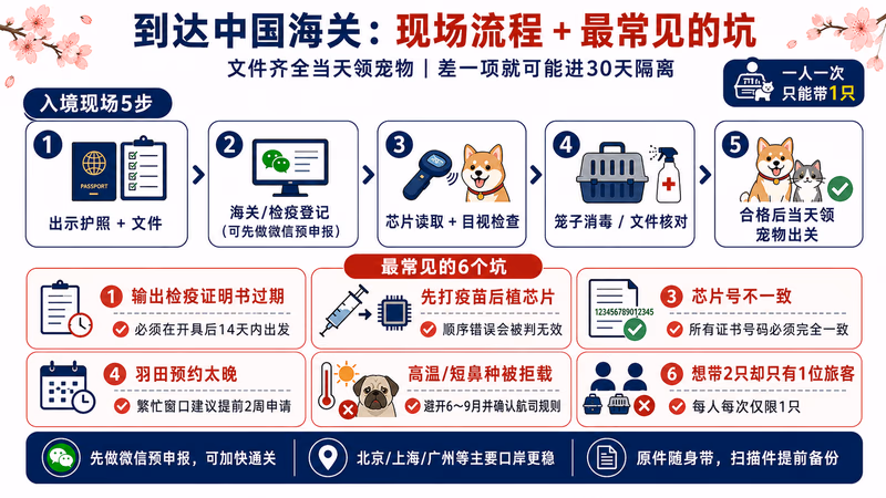 pet-japan-china-guide 图解3